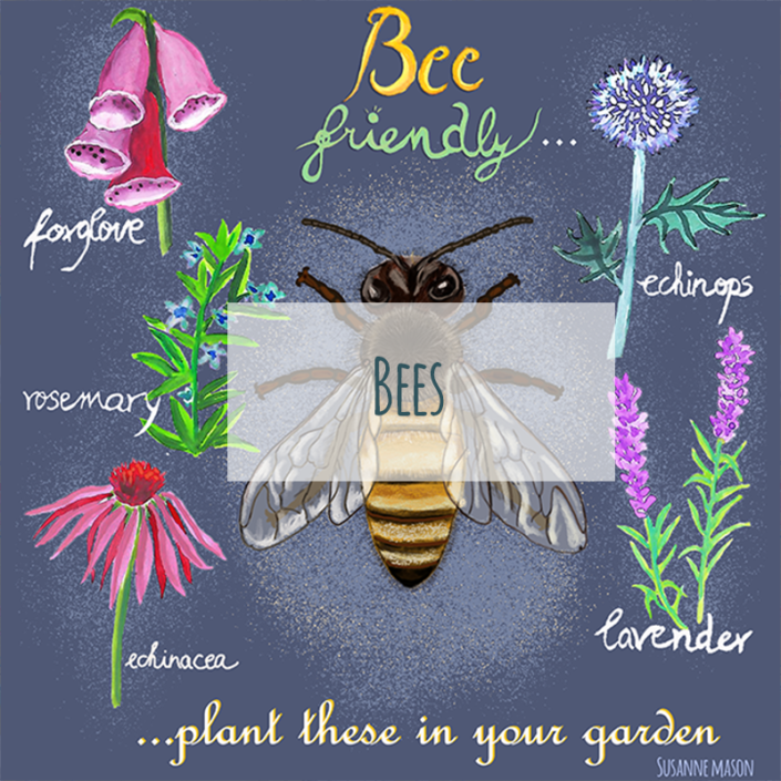 Bees illustrations and cards, by Susanne Mason