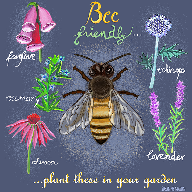 Bee friendly plants, by Susanne Mason