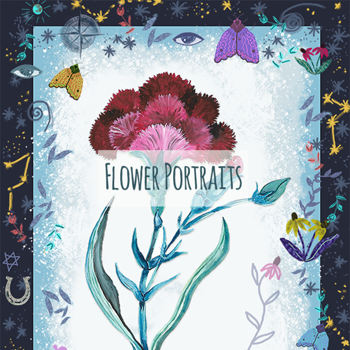 Flower portraits, by Susanne Mason