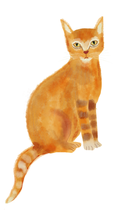 cat, editorial illustration by Susanne Mason